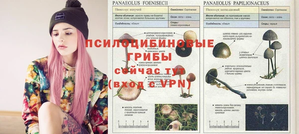 скорость Балабаново