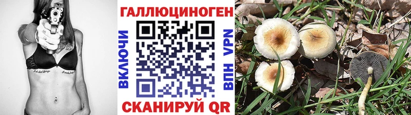 Псилоцибиновые грибы мухоморы  Вятские Поляны 